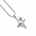 Collar Estrella y2k